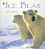 Ice Bear Book