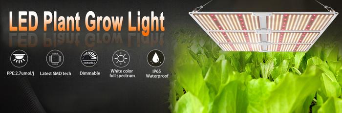 vivled qantum board qb led grow light spider farmer hlg dimmable watt cannabis marijuana grow tent hydroponics