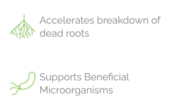 accelerates breakdown of dead roots