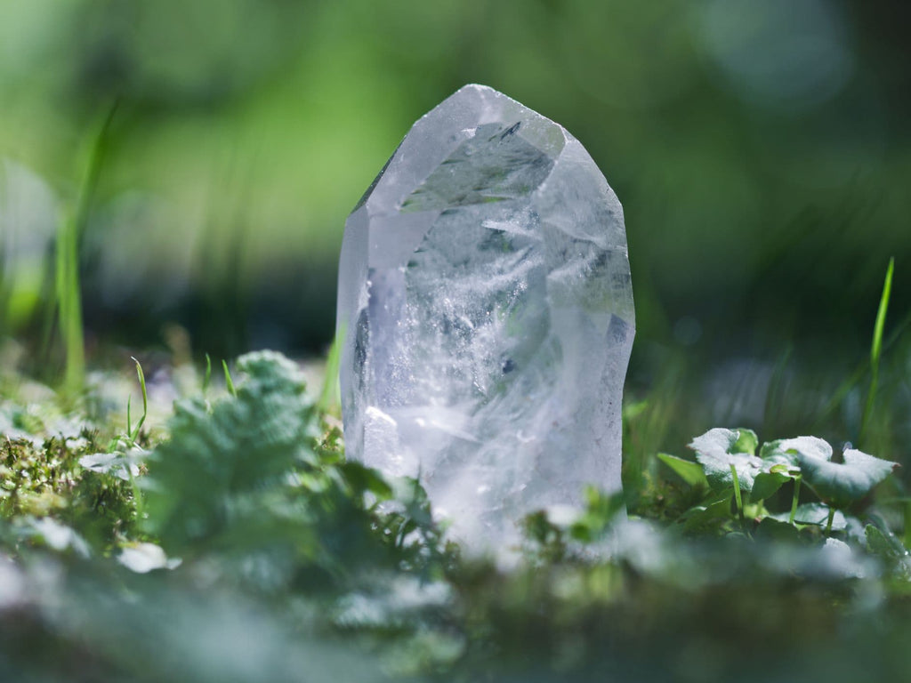 quartz clair pour les plantes