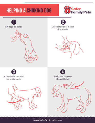 Heimlich maneuver in dog infographic