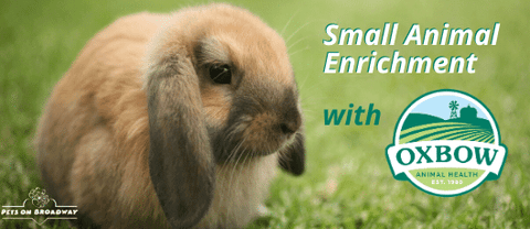 Small Animal Enrichment with Oxbow