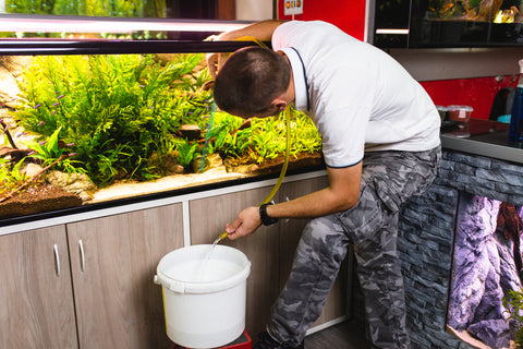 Man Performing Water Change for Large Tropical Fish Tank