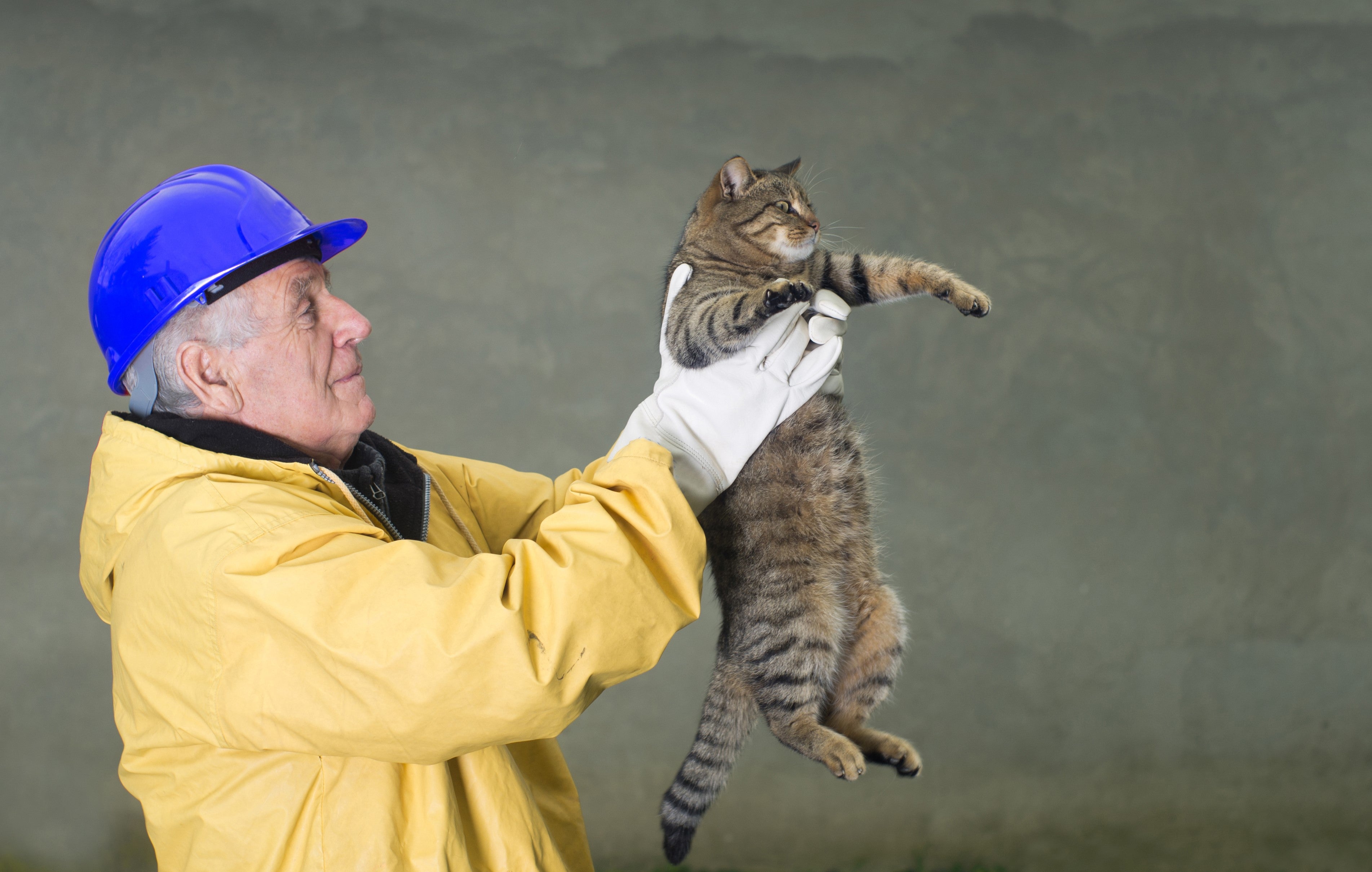 Man holding rescued cat.