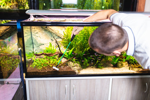 Do You Need An Aquarium Mat? Here's How To Know
