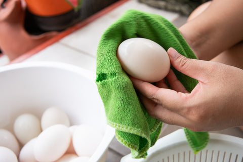 Person wiping down eggs