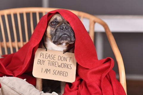 Scared dog holding up sign to not buy fireworks because they scare them