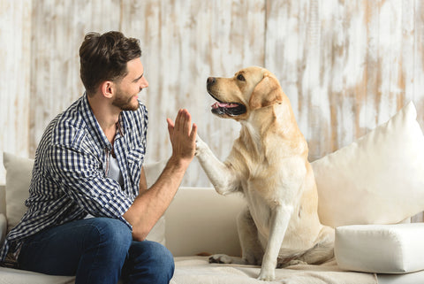 Young white man high-fiving a yellow lab