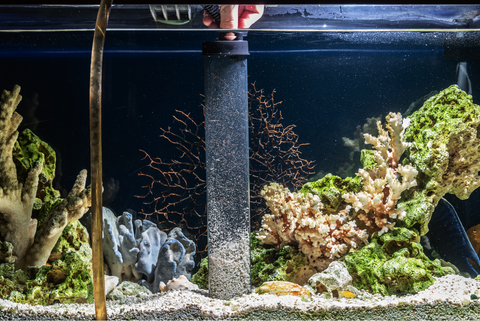 Siphoning gravel in a tank