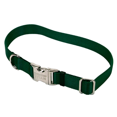 nylon dog collar with metal buckle