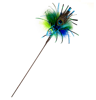 peacock cat toy