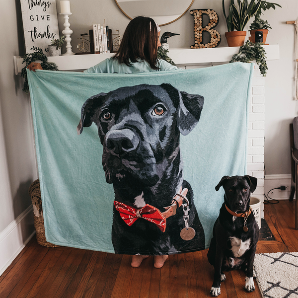 How To Get Pet Hair Out Of Blankets