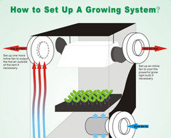 How to Set Up a Growing System