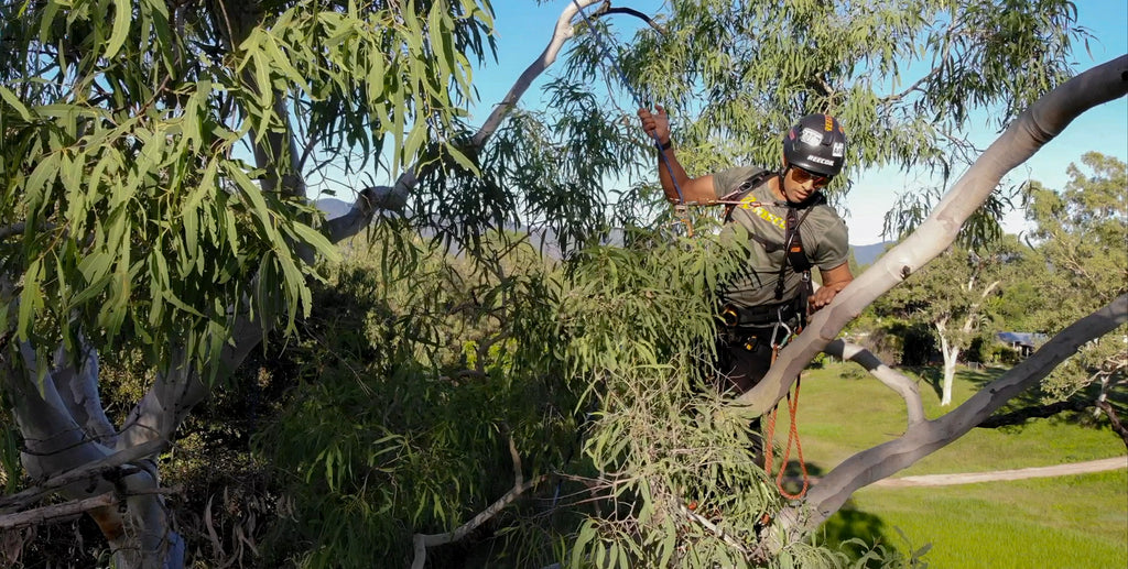Australian tree climbing with hydration pack