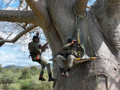 rhino conservation tree climbing