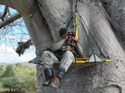 rhino conservation tree climbing