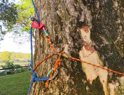 Tree Steps – a Tree Friendly Climbing Device for the Adventurous : 5 Steps  - Instructables