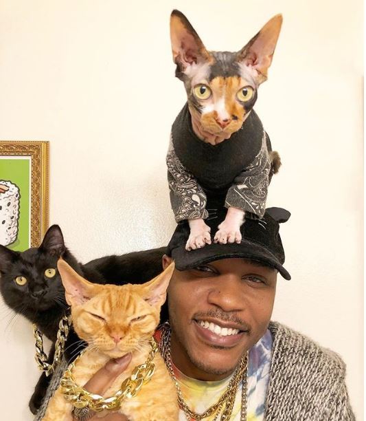 Have You Met Moshow The Cat Rapper Vardise Com