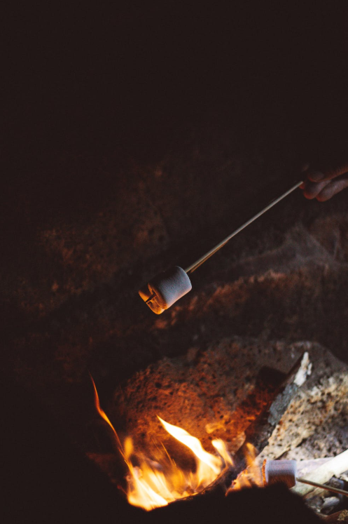 Cooking Food With Heat Logs Lekto Woodfuels Ltd