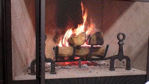 A fire screen in front of a burning fireplace.