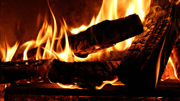 close up of firewood burning