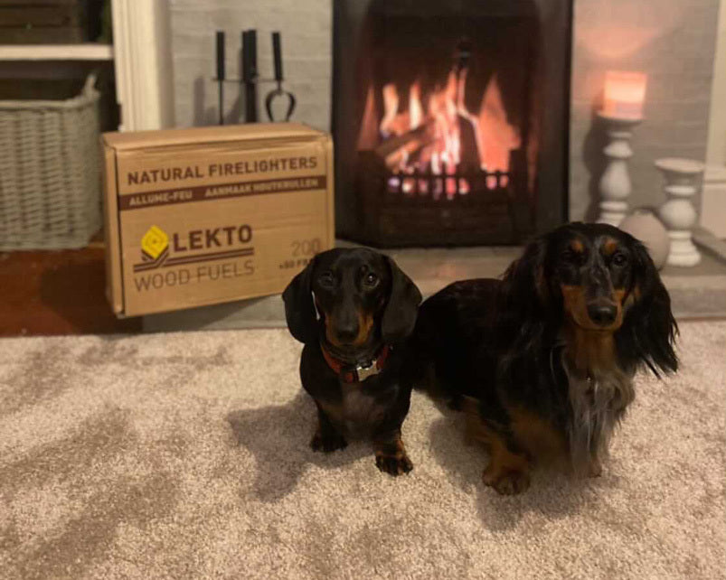 Two sausage dogs stood in front of a lit fire place and a box of natural firelighters