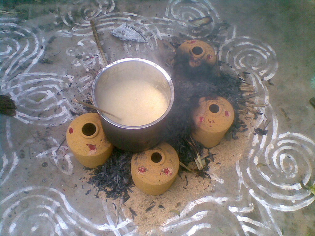 Pongal making