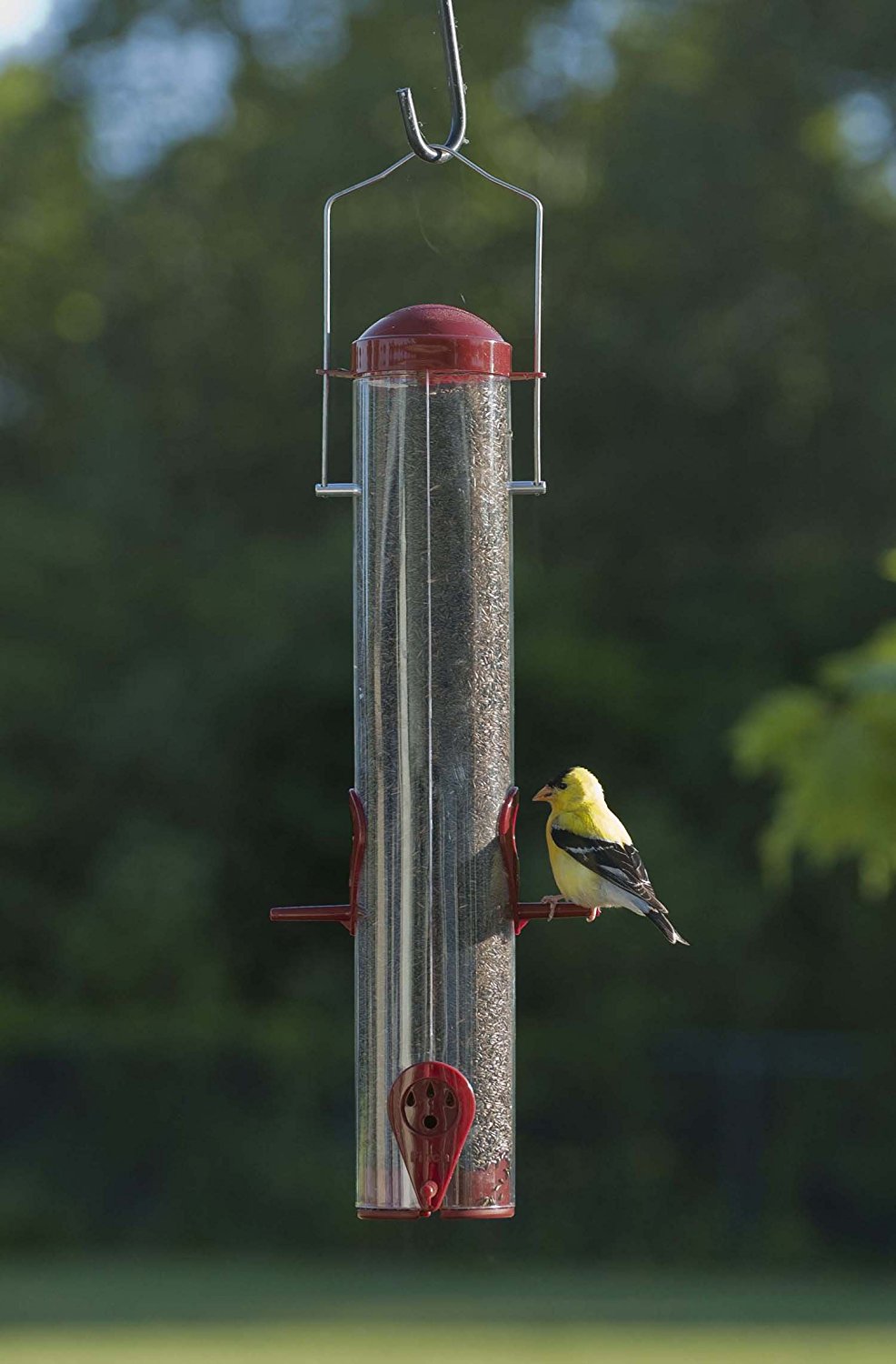 finch bird feeders