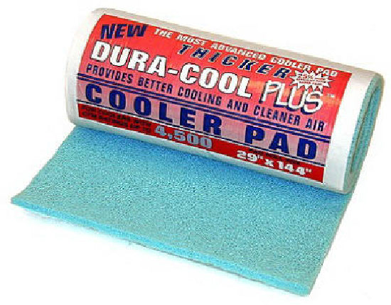dura cool air mattress