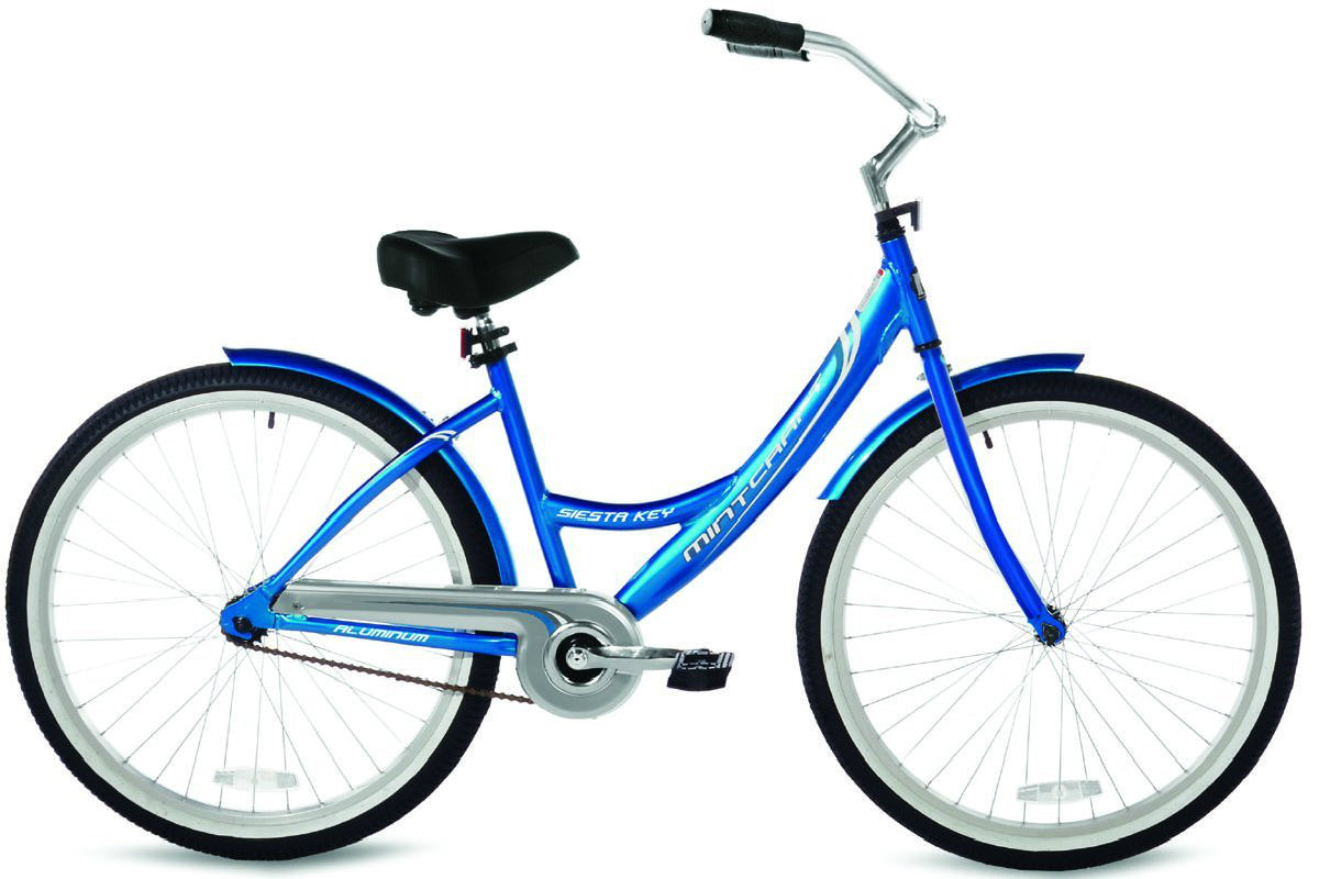 aluminum frame beach cruiser