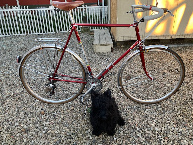 bertin c37 with velo orange components and accessories vo voices vintage bike restoration