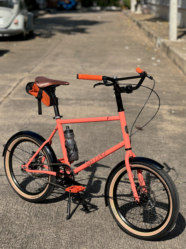 velo orange Neutrino city bike mini velo 20" 406
