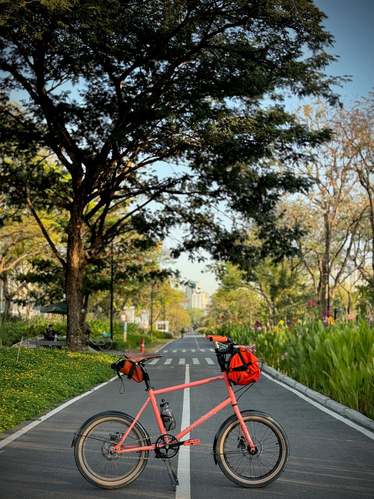 velo orange Neutrino city bike mini velo 20" 406