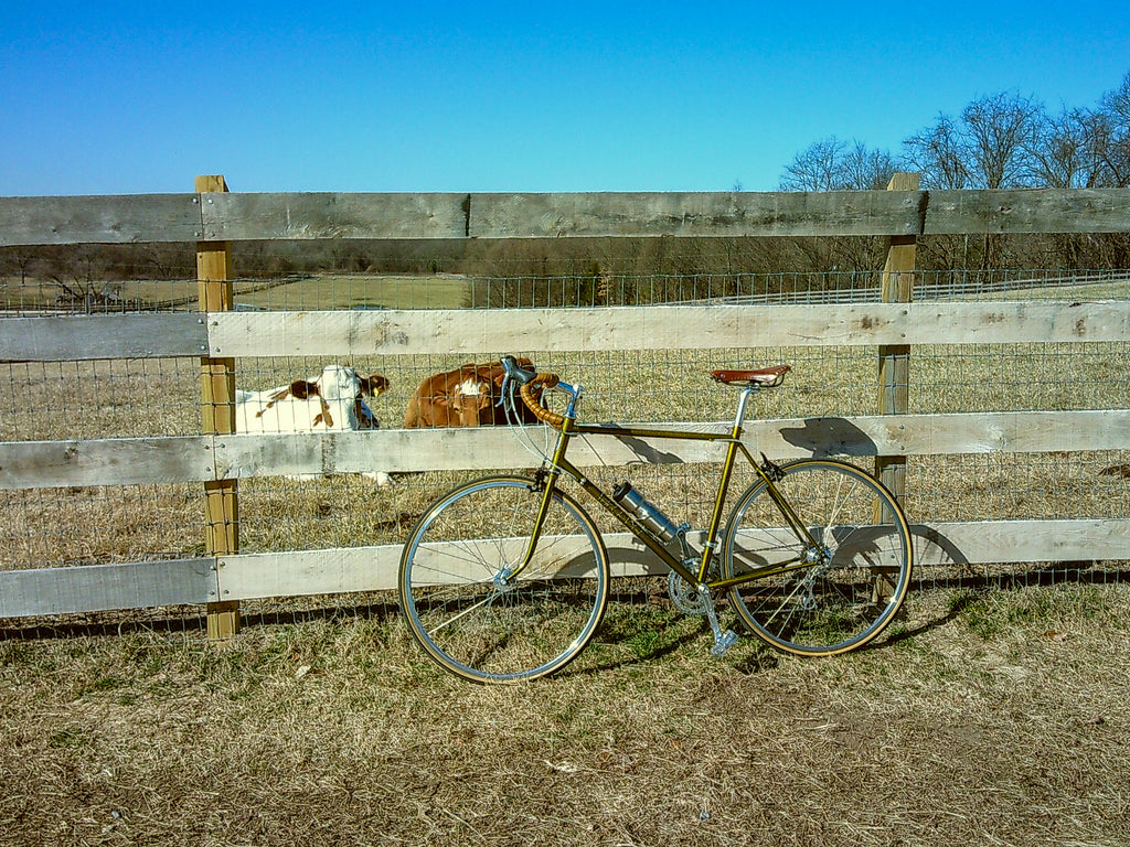 velo orange rando against fence with cows