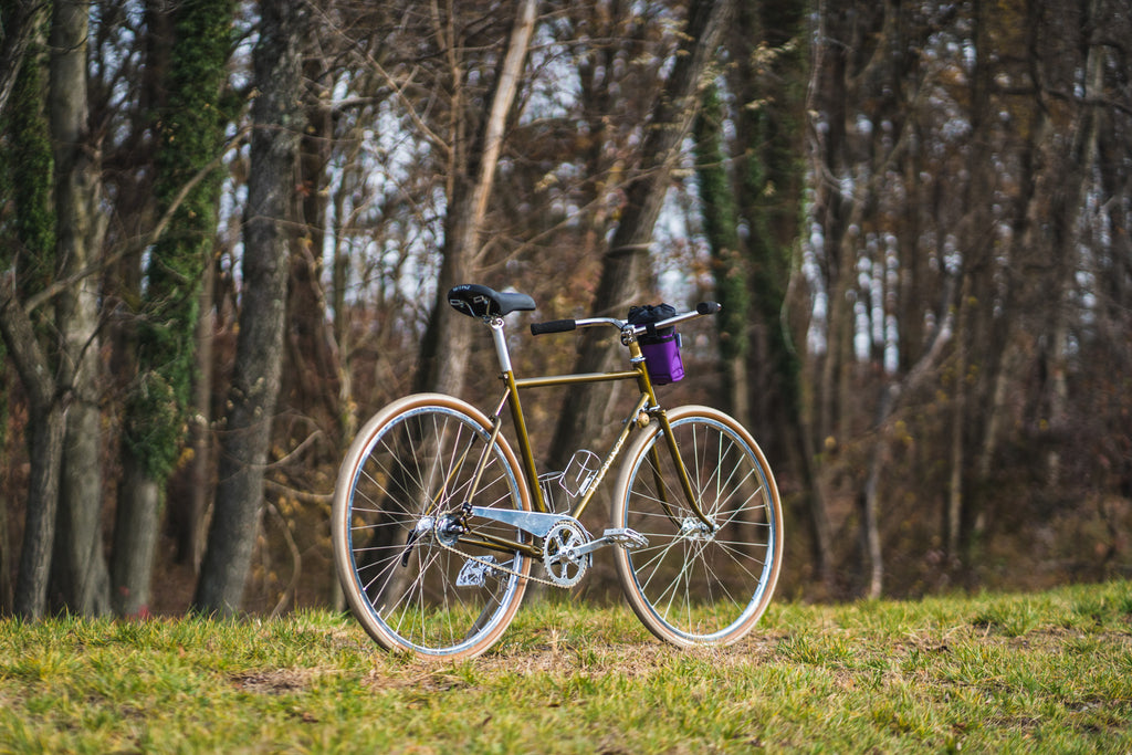 velo orange Rando with granola bars 