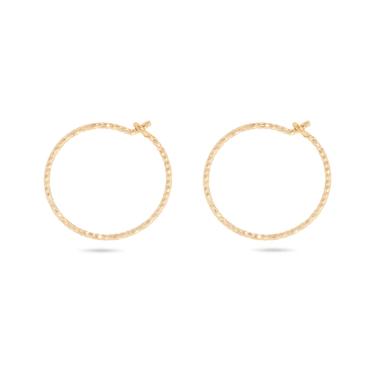 Small Sparkle Hoops – STONE AND STRAND