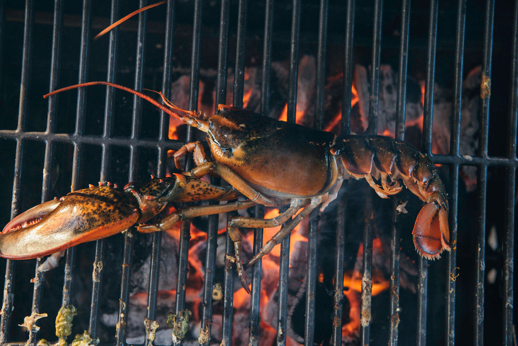 grilling lobster over direct heat