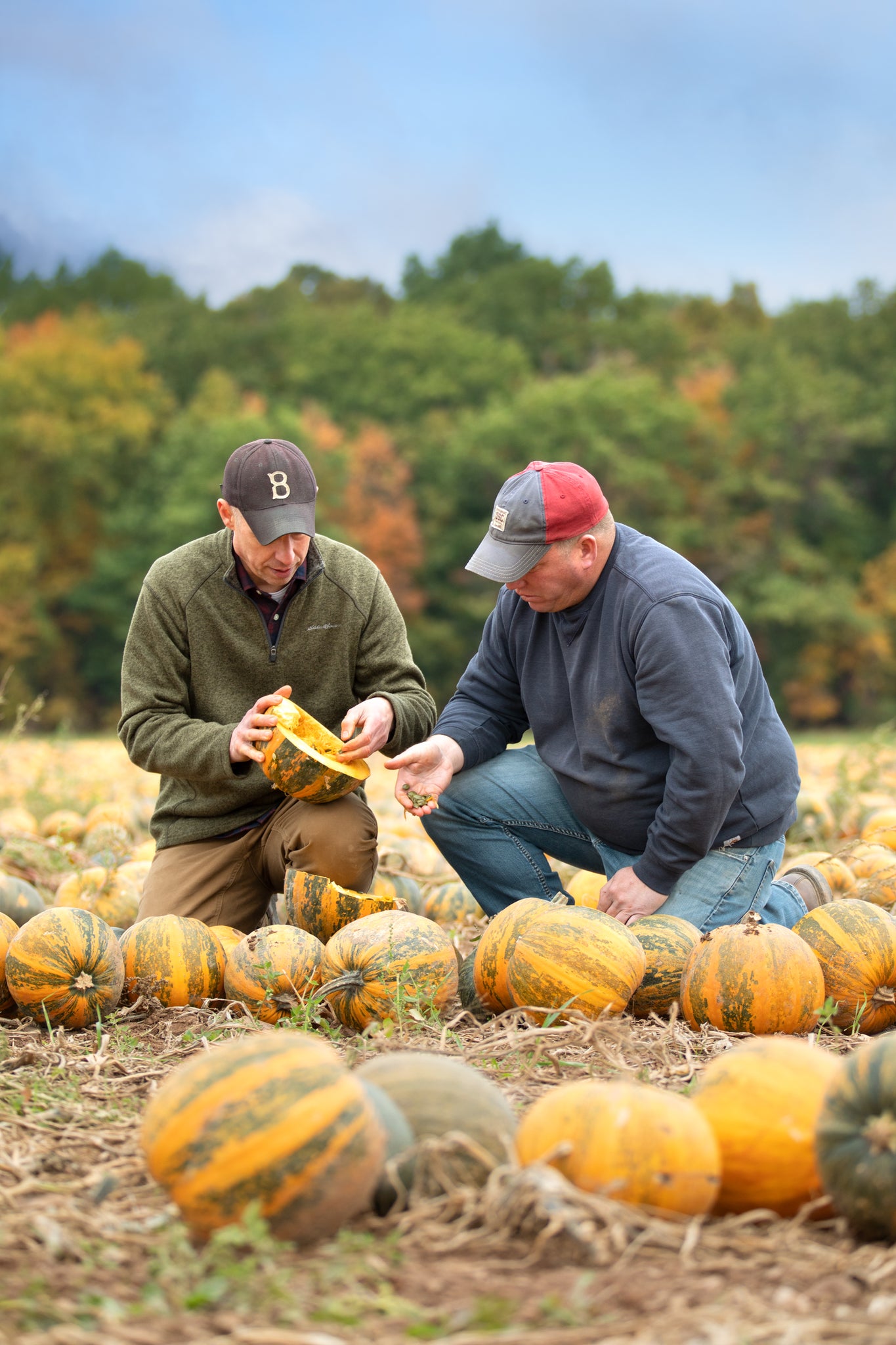 Stonybrook Wholehearted Foods | Geneva, New York | Pumpkin seeds Domestically Grown