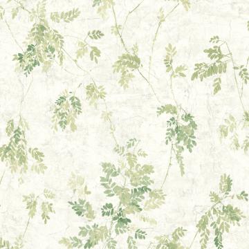 Featured image of post Aesthetic Wallpaper Green And White - Find the best free stock images about aesthetic wallpaper.