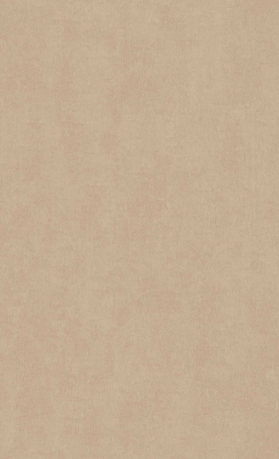 Aesthetic Background Plain Light Brown Color - dianamontane