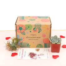 Gift 1 Airplant 1 Succulent/ Month Subscription Auto renew Nav Image 3