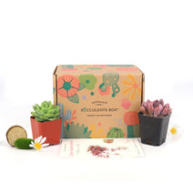 Gift 2 succulent/ month - 6 month Subscription - 1 time charge Nav Image 2