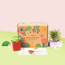 Gift 1 Airplant 1 Succulent/ Month Subscription Auto renew Nav Image 1