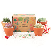 Gift 4 Succulents 4 Clay Pots/ month - 12 month Subscription - 1 time charge Nav Image 4