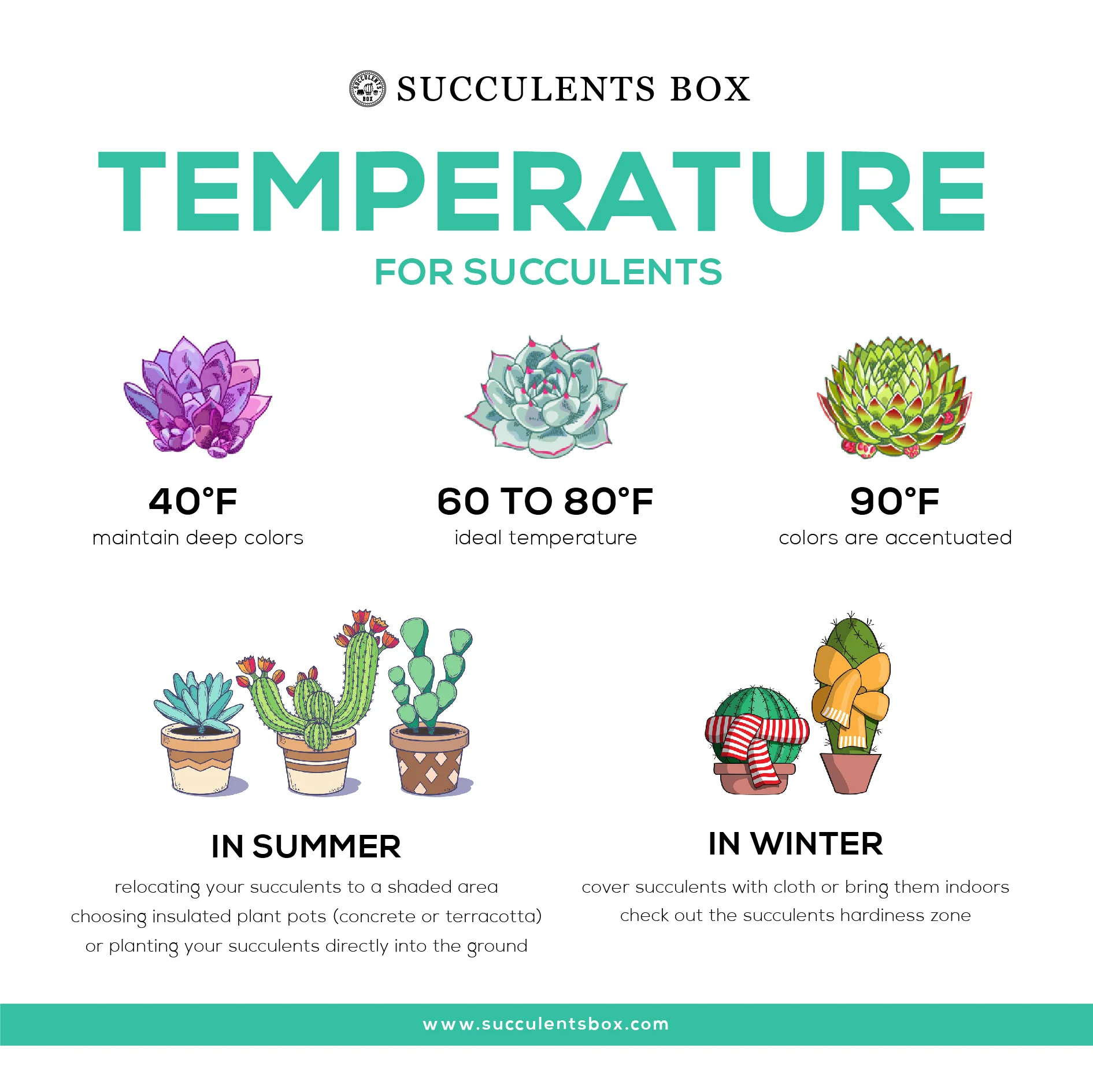 Temperature for Succulents