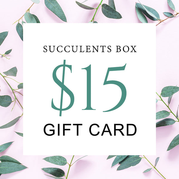 Gift Card - $15 | Succulent Gift Card | Succulent Lover - Succulents Box