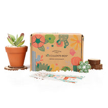 Gift 1 Succulent 1 Clay Pot/ month - 6 month Subscription  Auto renew Nav Image 14