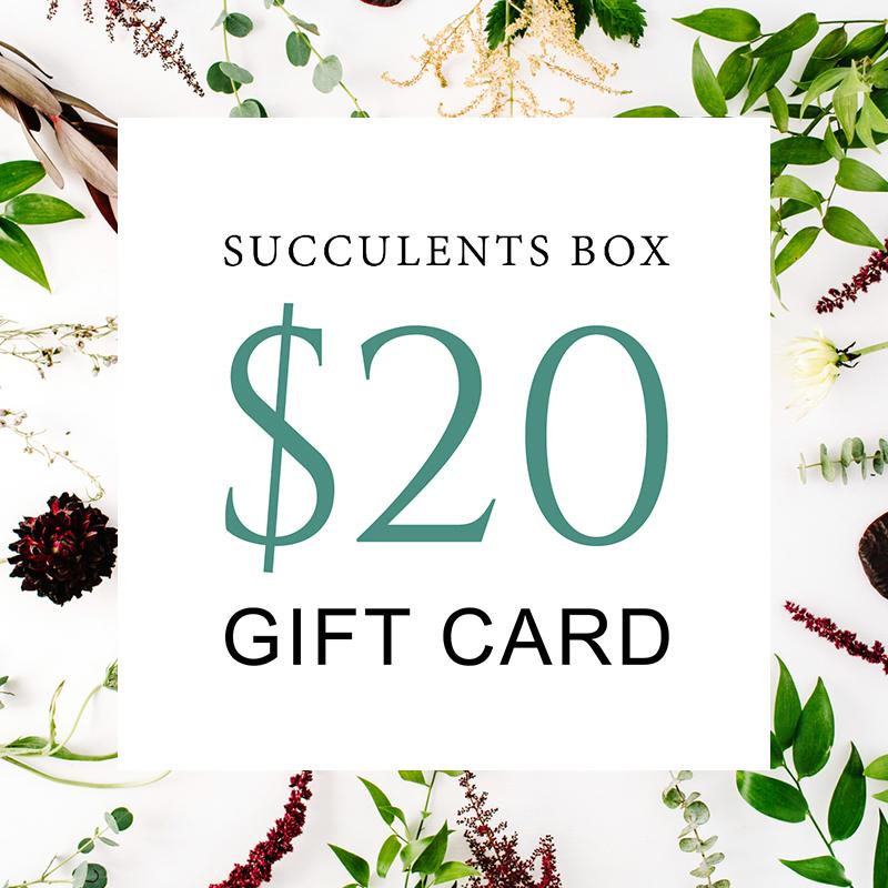 Succulents Gift Card Succulent Gifts For Any Occasion Succulents Box