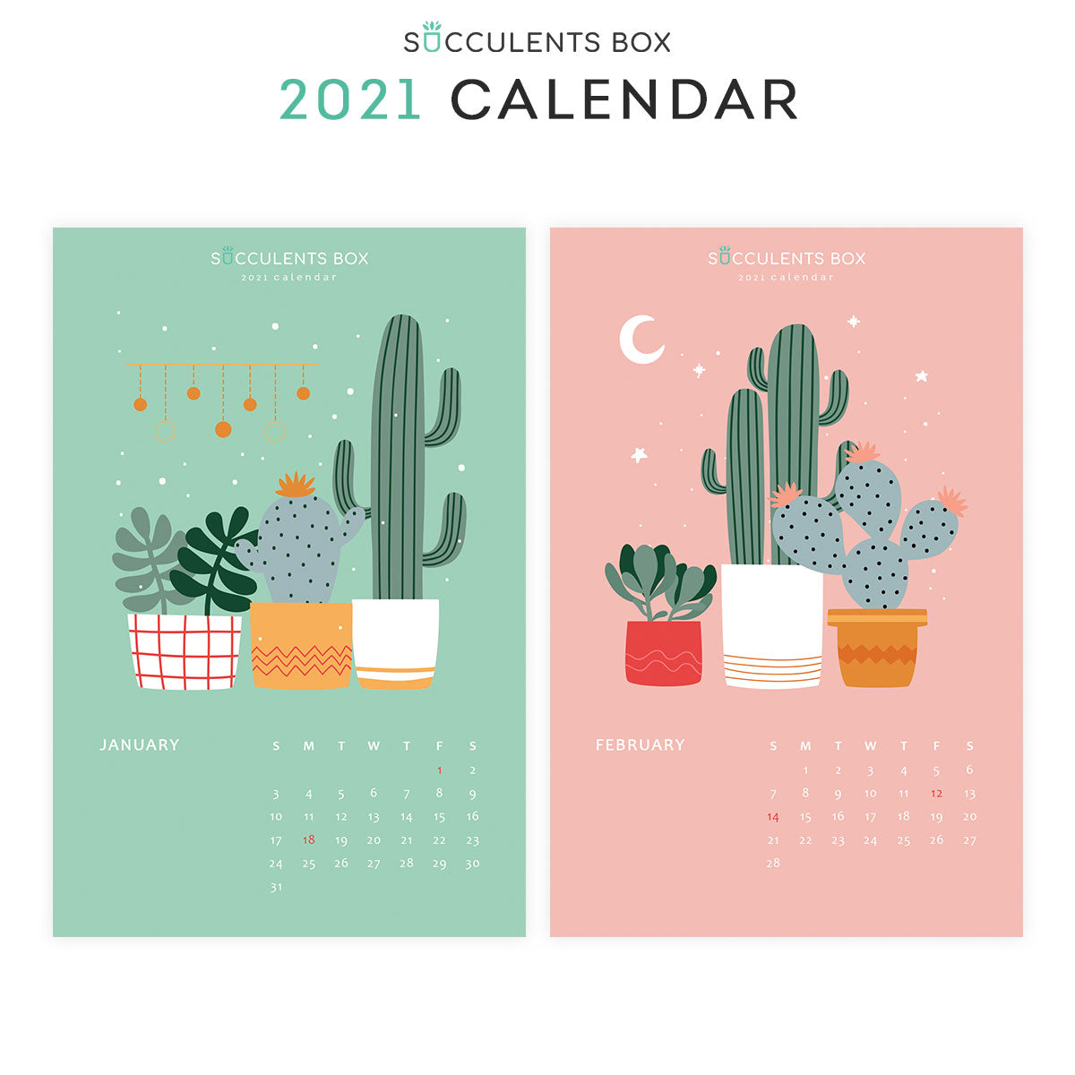 2021 Monthly Succulent Colorful Calendar Free Printable 2021 Plants Download Succulents Box