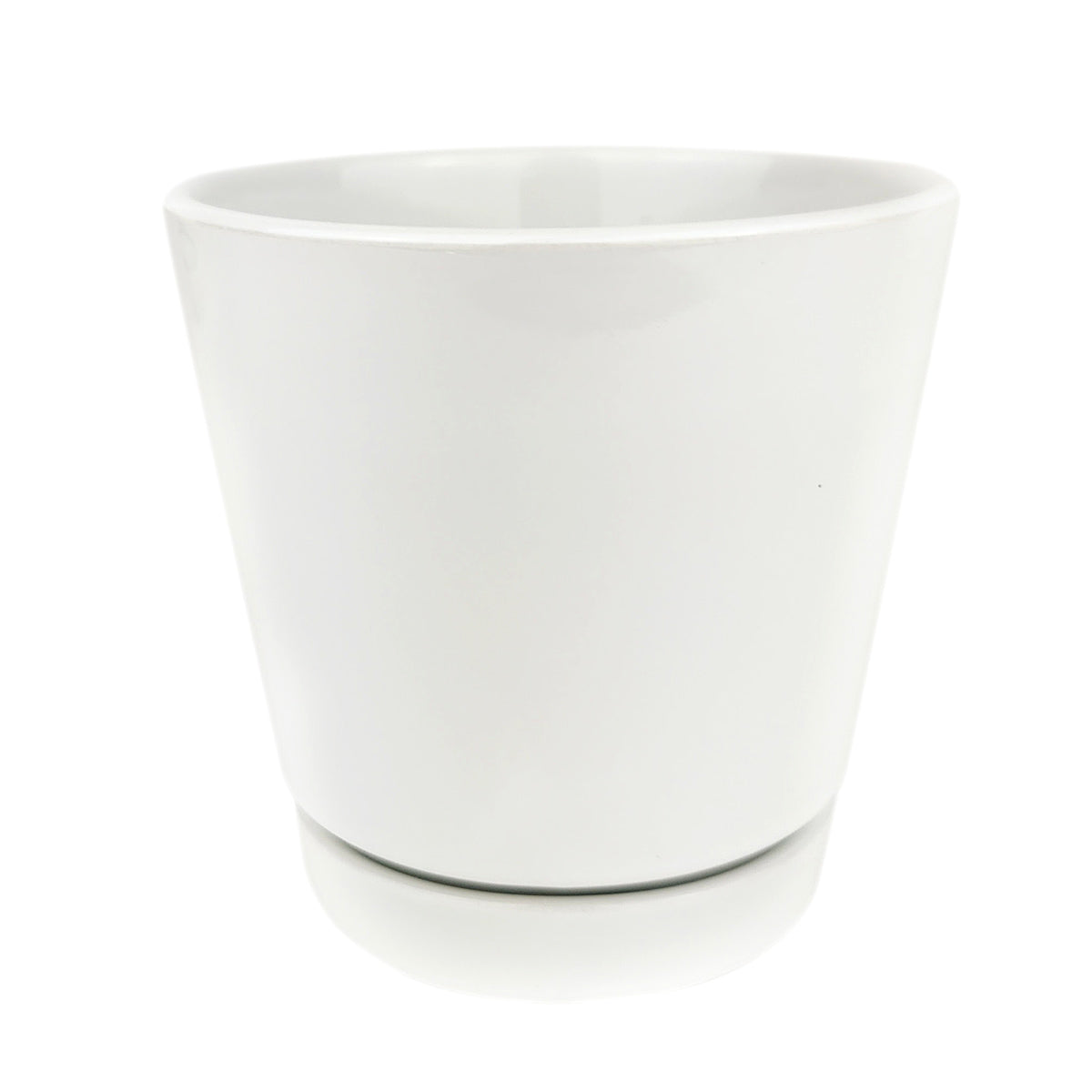 Image of 6 inch White Minimalist Pot with Saucer